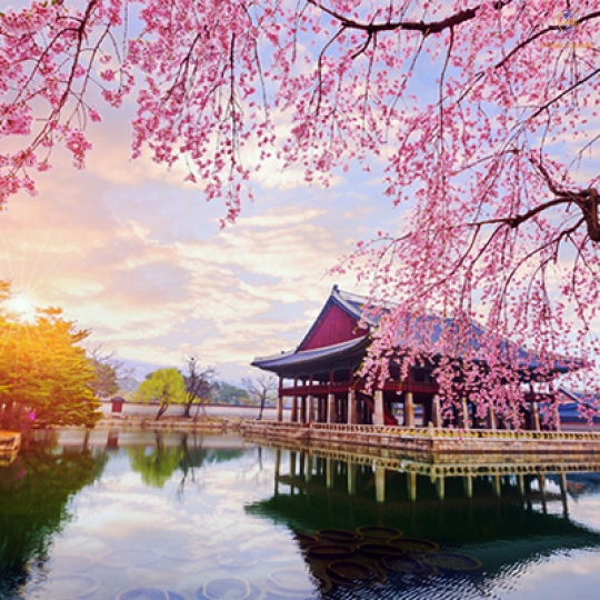 Du Lịch Hàn Quốc