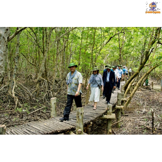 Khám Phá Rừng Sác Cần Giờ