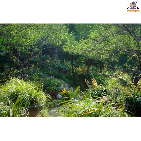 Hà Nội - Lào Cai - SaPa