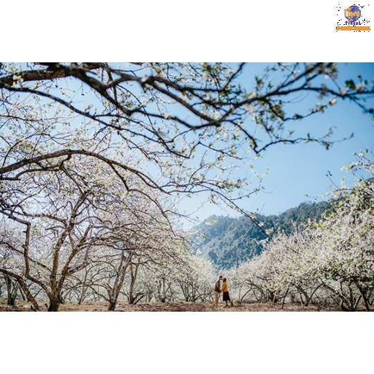 HÀ NỘI - HÀ GIANG - YÊN MINH -SÔNG NHO QUẾ - ĐỒNG VĂN