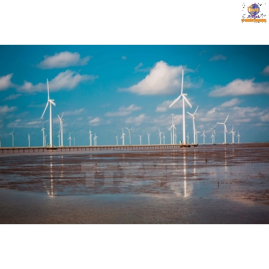 Viếng Đức Mẹ Nam Hải – Cánh Đồng Điện Gió Bạc Liêu – Chùa Đất Sét – Chùa Dơi