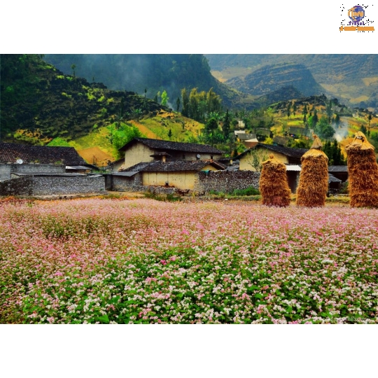 HÀ NỘI - HÀ GIANG - YÊN MINH -SÔNG NHO QUẾ - ĐỒNG VĂN