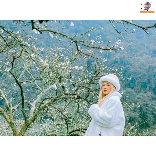 HÀ NỘI - HÀ GIANG - YÊN MINH -SÔNG NHO QUẾ - ĐỒNG VĂN