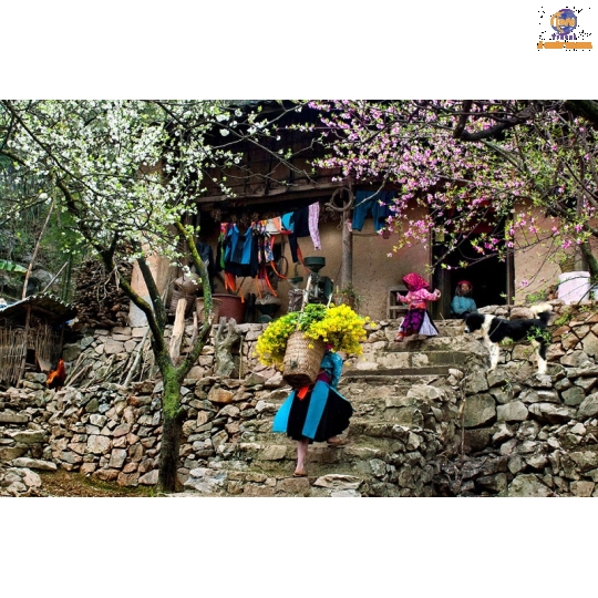 Sài Gòn - Hà Giang -  Cao Bằng - Hồ Ba Bể -  Hà Nội