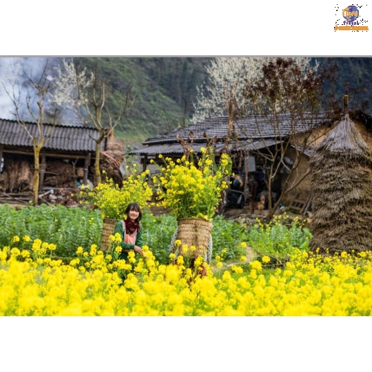 Sài Gòn - Hà Giang -  Cao Bằng - Hồ Ba Bể -  Hà Nội