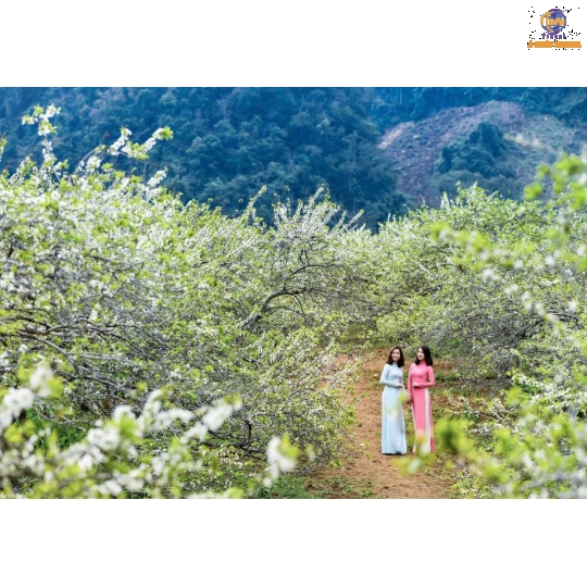 Sài Gòn - Hà Giang -  Cao Bằng - Hồ Ba Bể -  Hà Nội