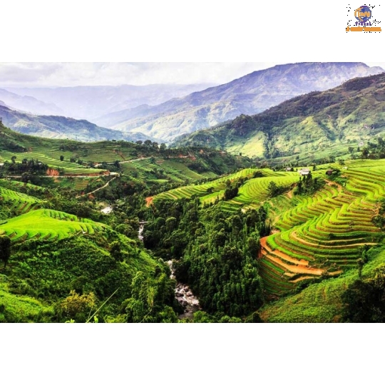 Tour Du Lịch Đoàn Trong Nước