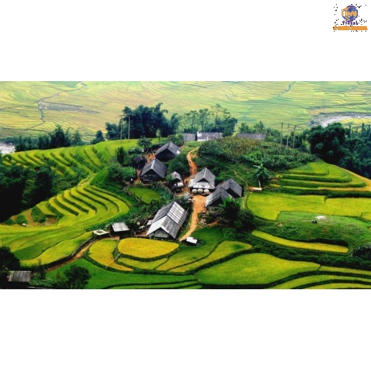 Hà Nội - Lào Cai - SaPa