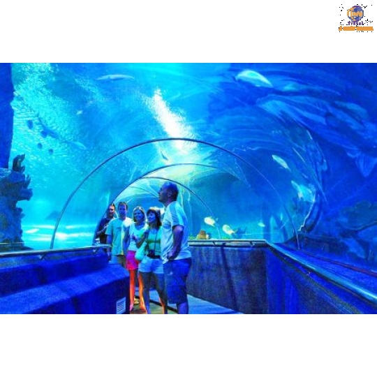 Vinpearl Harbour - Vịnh San Hô - Làng Chài - Hồ Cá Trí Nguyên