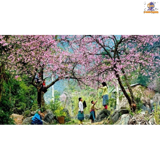 Hà Nội - Lào Cai - SaPa